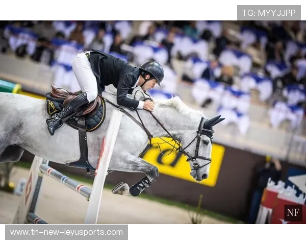 瑞士马术协会与国际马术联合会合作，举办国际马术交流活动，促进技术交流。